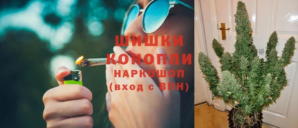 шишки Арсеньев