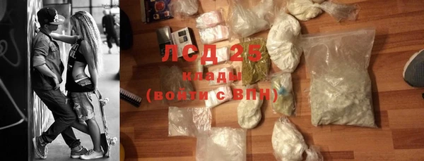 шишки Арсеньев