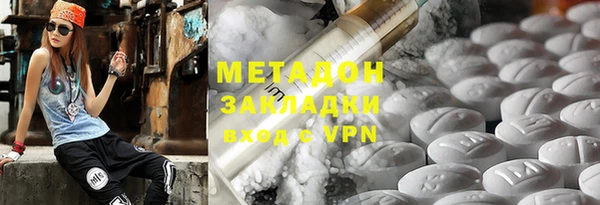 шишки Арсеньев